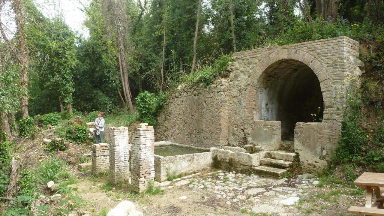 Ciglieri Santermo Casciana Terme Lari Pet&Bike Friendly Free Park Lägenhet Exteriör bild
