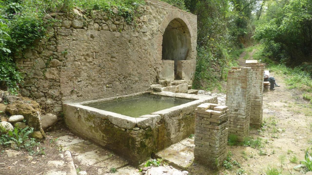 Ciglieri Santermo Casciana Terme Lari Pet&Bike Friendly Free Park Lägenhet Exteriör bild